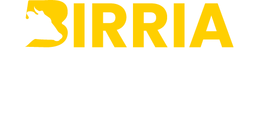 Birria Express